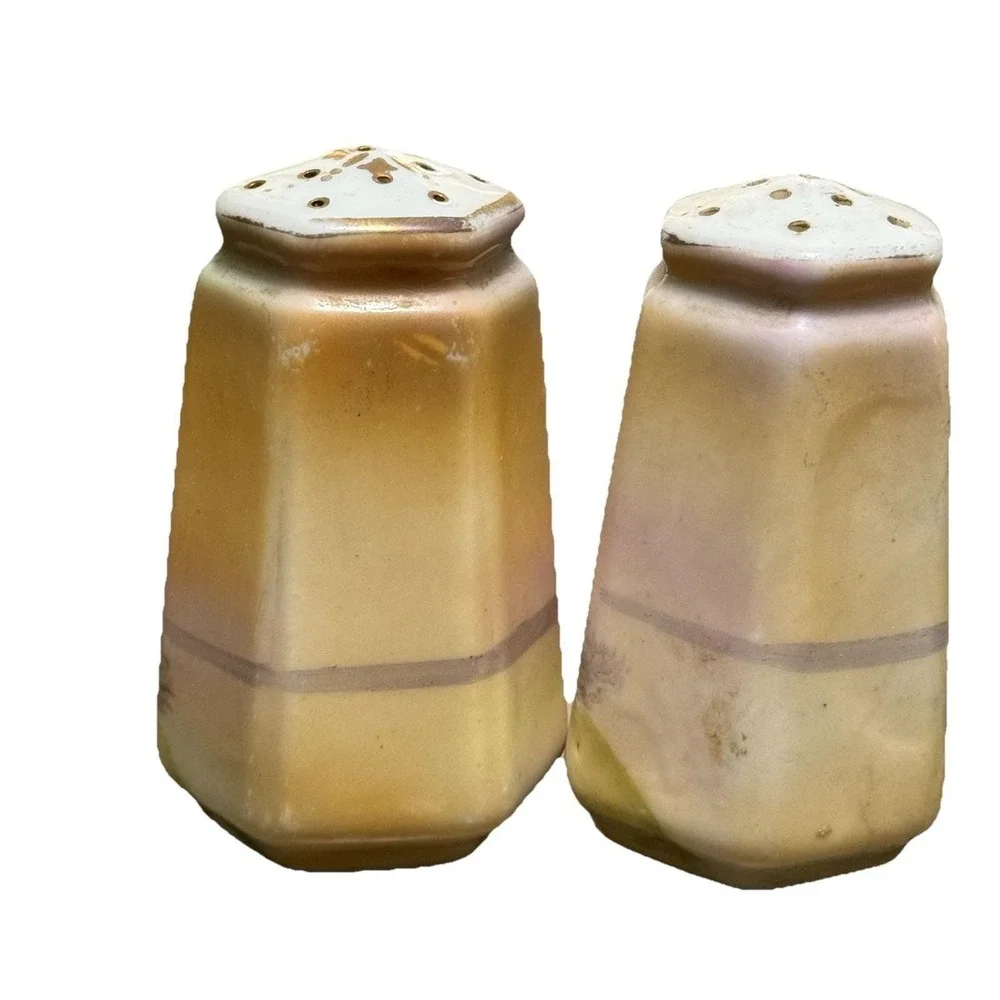 Vintage Nippon Hand Painted Japan Salt Pepper Shakers Cottage Landscape